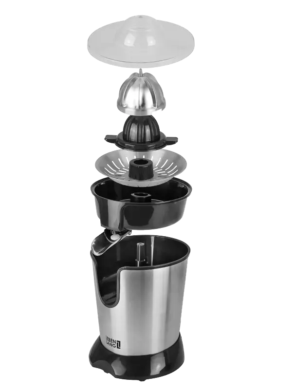 Electric Juicer Photo