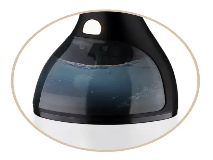 Garment Steamer Photo