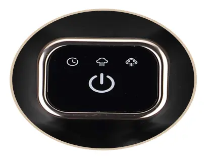 Garment Steamer Photo