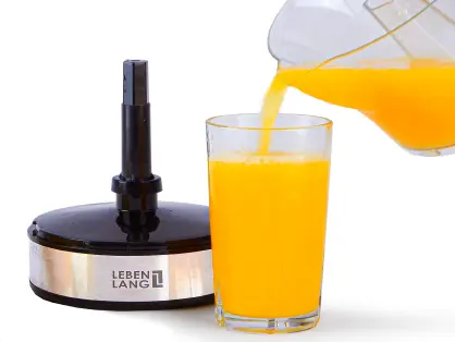 Electric Juicer Photo