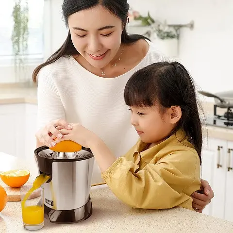 Electric Juicer photo