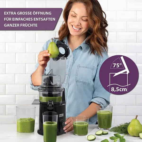 Slow Juicer Photo